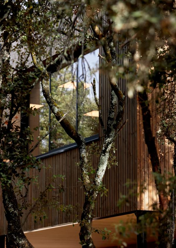 Réalisation : La Cabane Perchée
